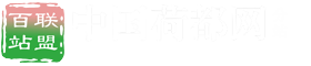 百站联盟-中国荷都网